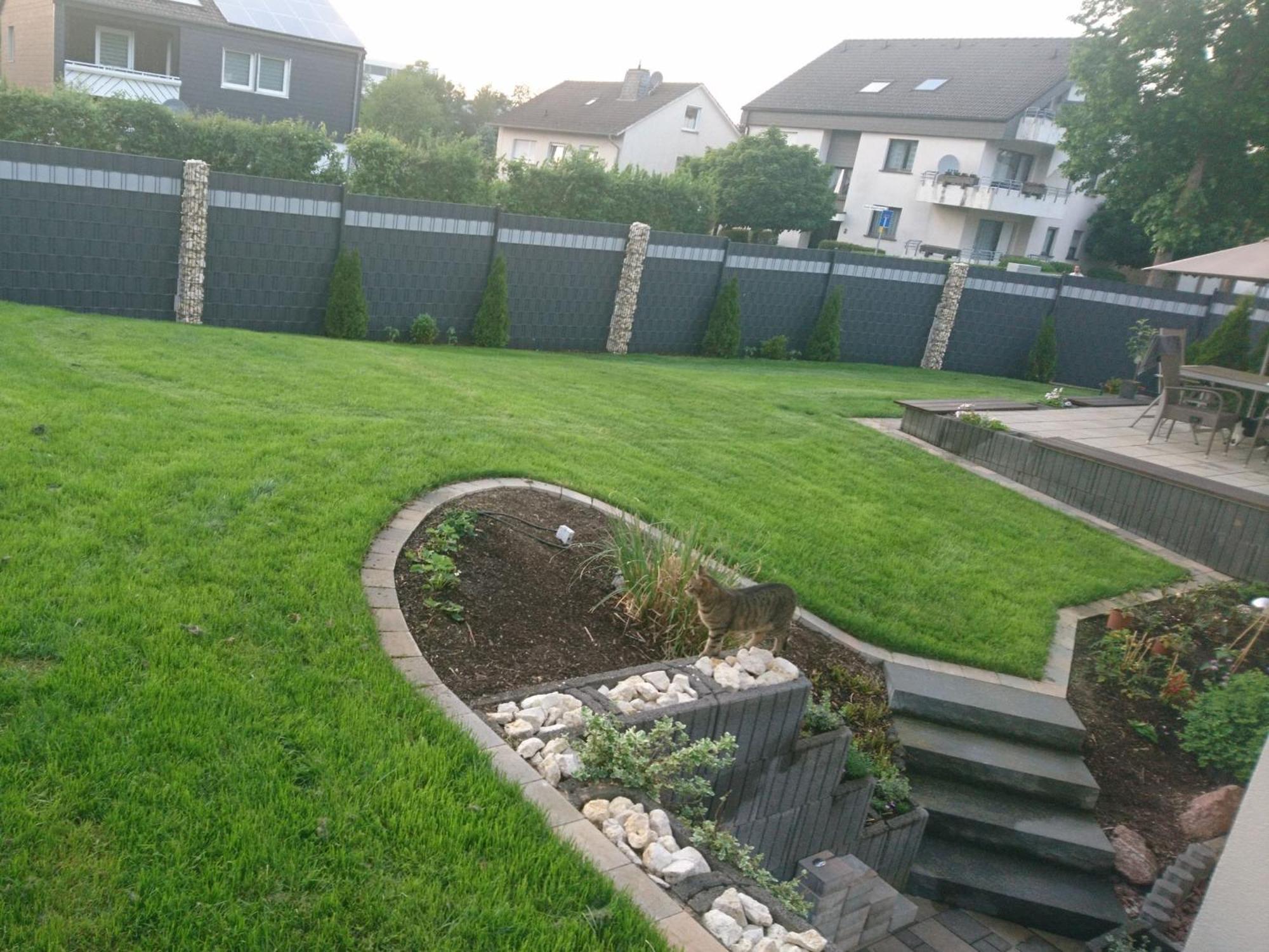 Ferienwohnung Sonnenblick Und Relax زوندرن المظهر الخارجي الصورة