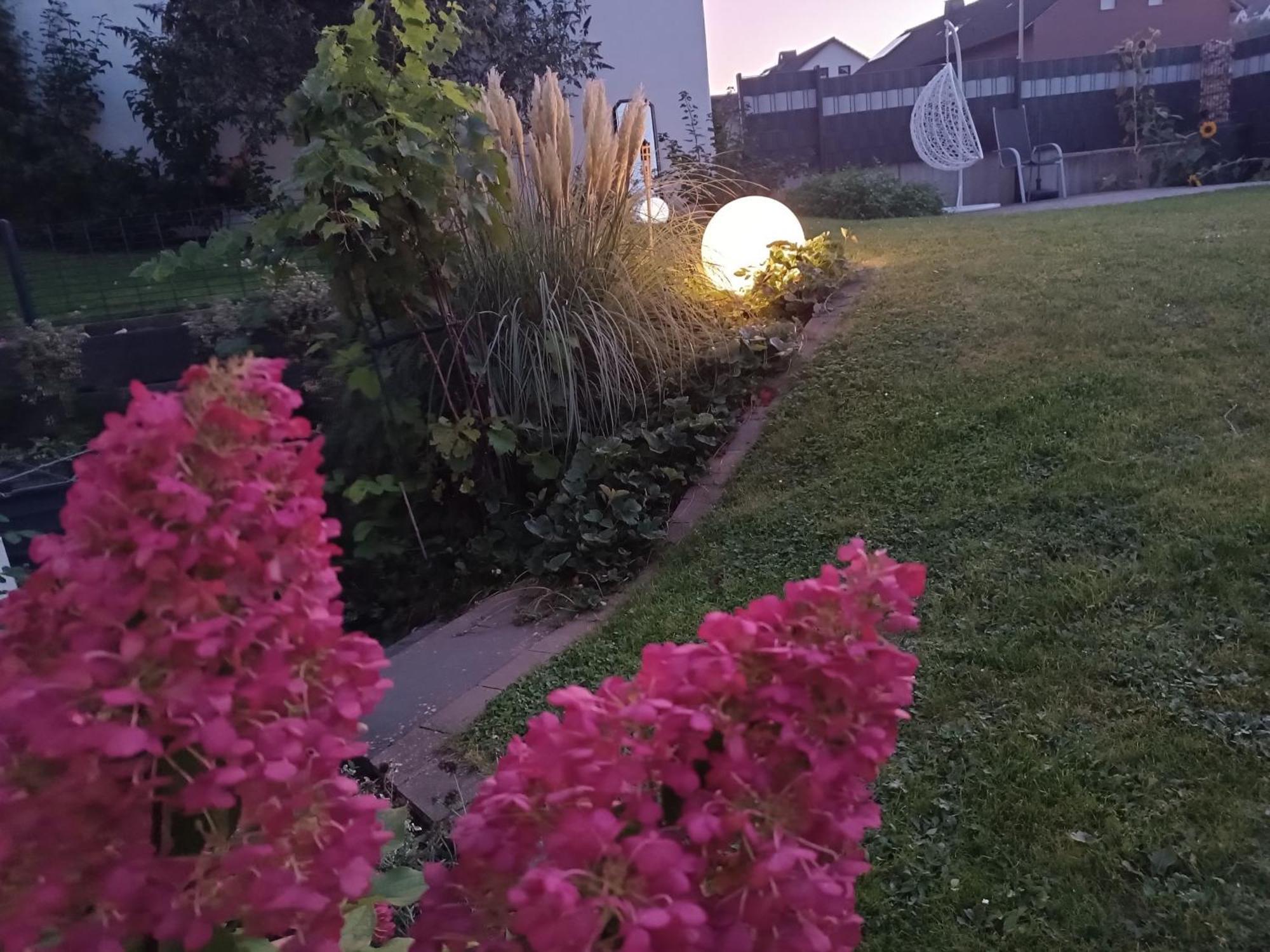 Ferienwohnung Sonnenblick Und Relax زوندرن المظهر الخارجي الصورة
